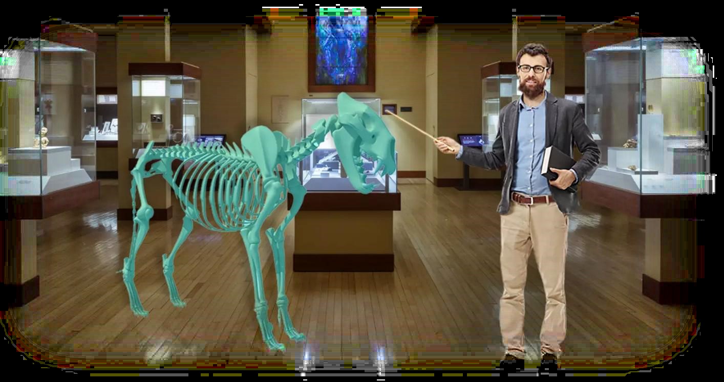 Historical and Cultural XR Experiences